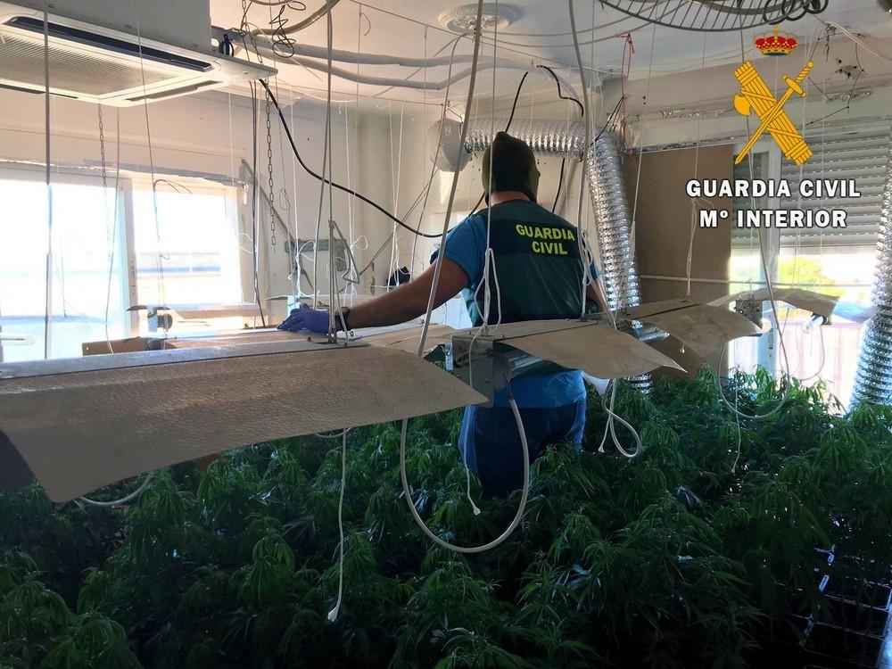 Detenido un hombre que tenía una plantación de marihuana en la casa en la que vivía con su hijo menor de edad