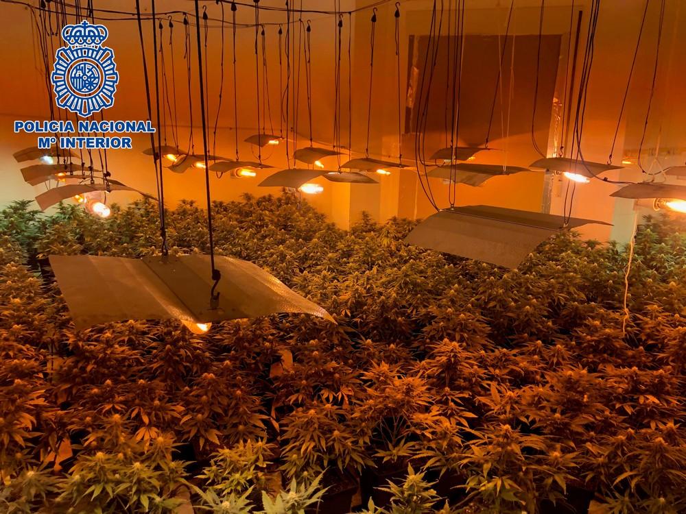 Sorprendidos por la Policía Nacional cuando salían de sus viviendas en las que ocultaban marihuana