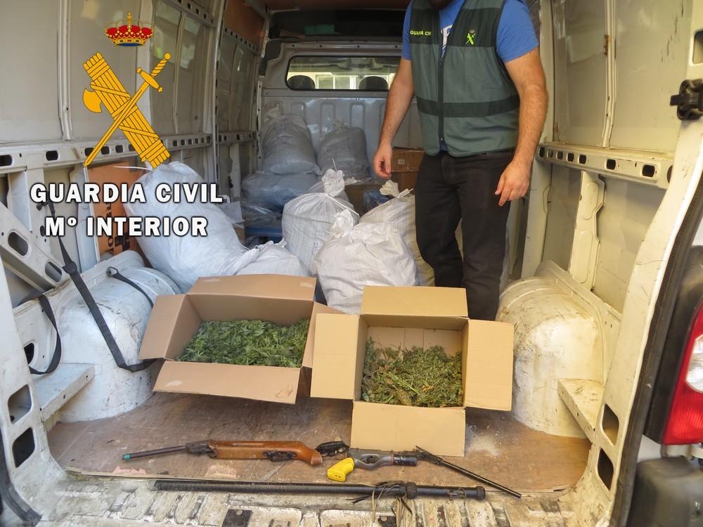 Cuatro detenidos e incautadas más de 600 plantas de marihuana en una operación de la Guardia Civil en Adra
