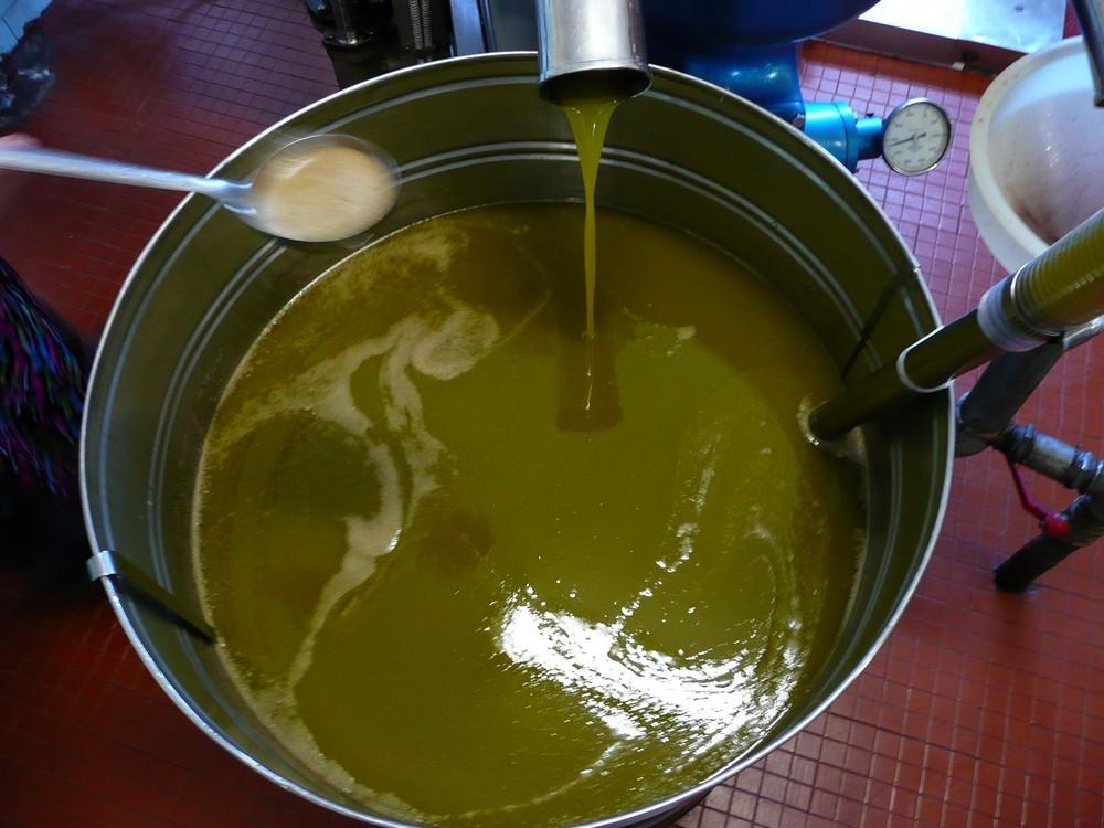 Adjudicado el servicio de recogida de aceites domésticos y su transporte a centros autorizados para su valorización