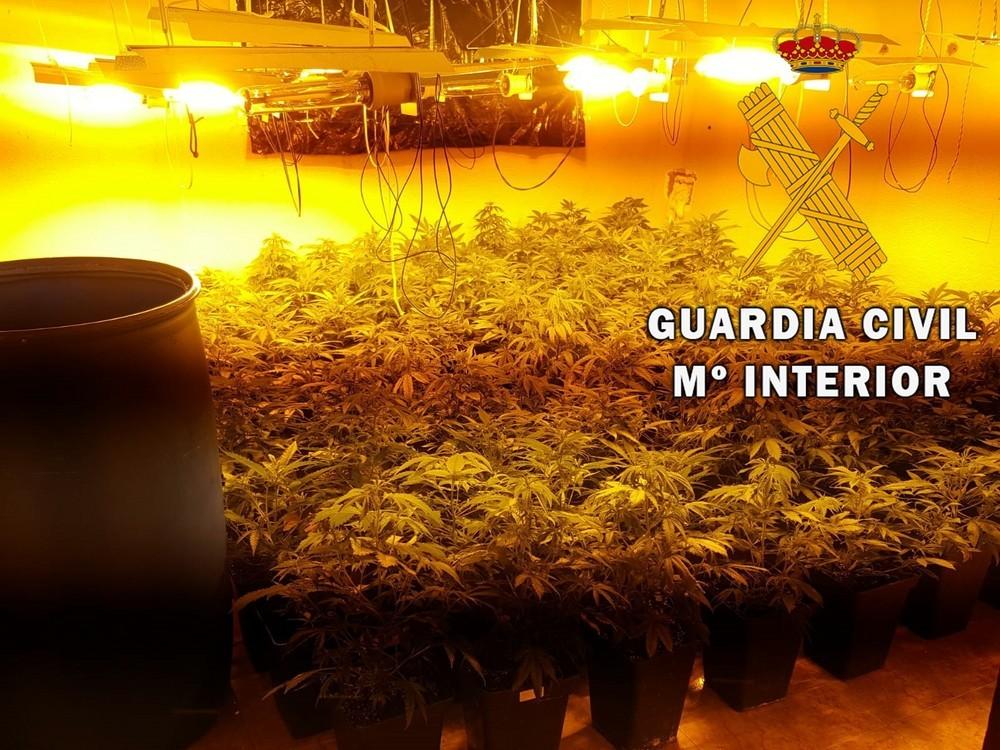 La Guardia Civil localiza una plantación “in door” a menos de 100 metros de una guardería de Roquetas de Mar