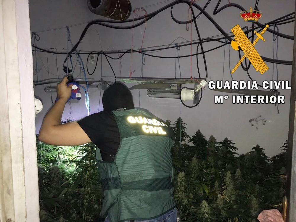 La Guardia Civil localiza una plantación en una vivienda habitada por una pareja sexagenaria en Roquetas de Mar