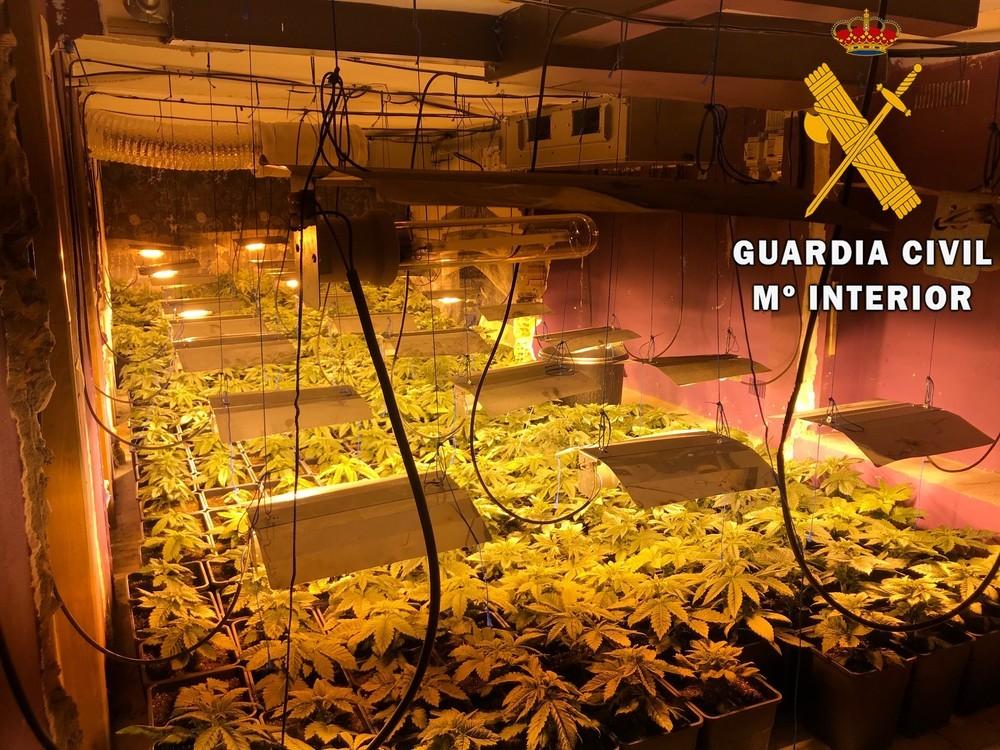 La Guardia Civil detiene una persona por cultivo de marihuana en un Pub del municipio de Roquetas de Mar