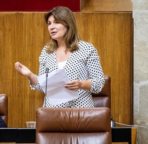 El CGPJ avala la petición del PP para elevar la categoría de los juzgados de El Ejido y Roquetas de Mar