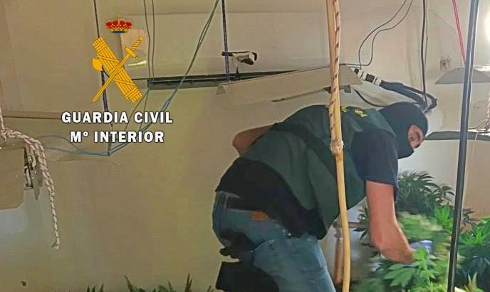 La Guardia Civil de Almería interviene una plantación de marihuana indoor con 216 plantas y neutralizan un enganche ilegal de luz y agua en un local comercial de El Parador