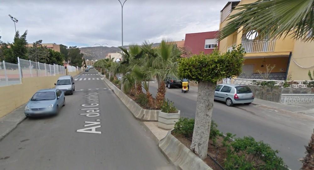 Una mujer herida en el incendio de su casa en Vícar