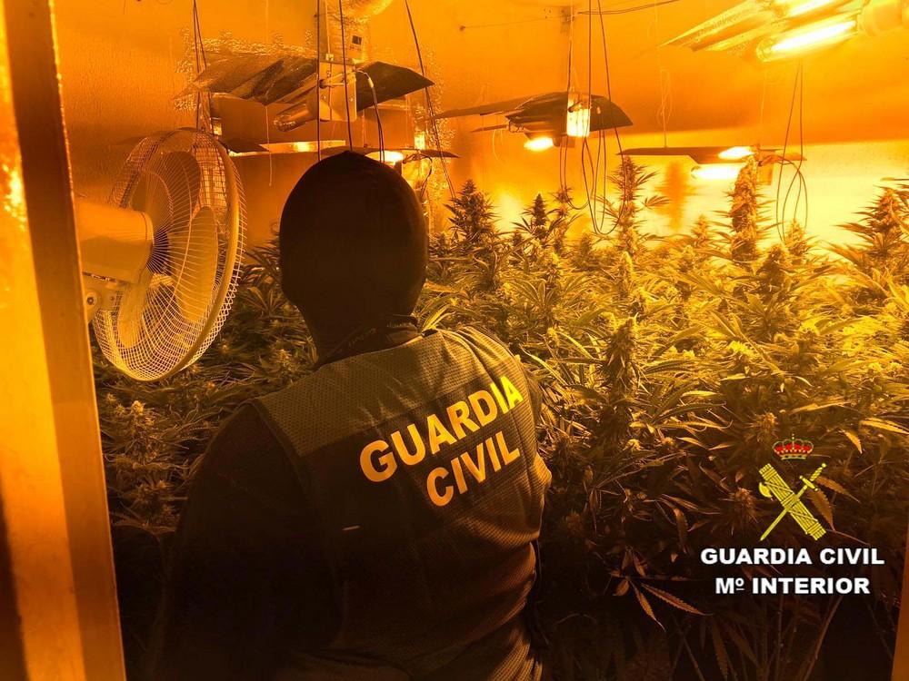 Cultivaban casi 200 plantas de marihuana en una vivienda blindada en Roquetas de Mar