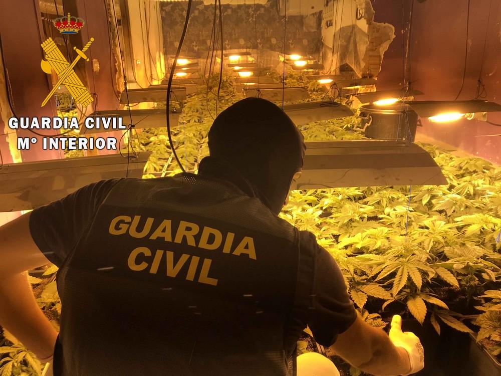 La Guardia Civil localiza una plantación indoor de marihuana con 114 plantas y neutraliza un enganche ilegal a la red eléctrica