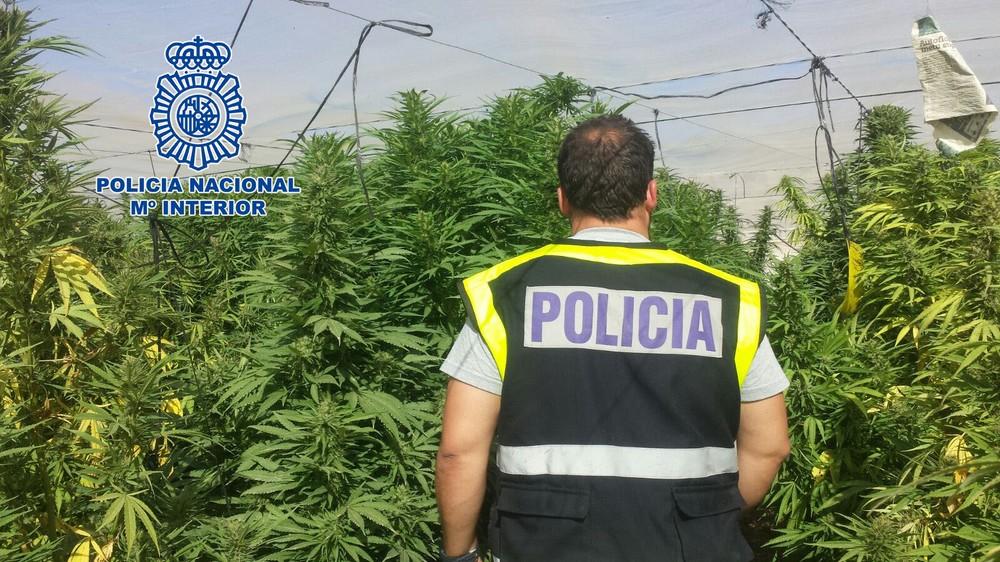La Policía Nacional detuvo el pasado año a 244 personas en Almería por delitos relacionados con el tráfico de drogas