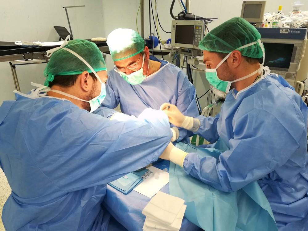 El Hospital de Poniente registra diez donaciones de órganos y tejidos en 2019