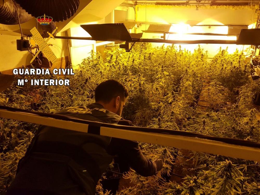 La Guardia Civil detiene a dos personas por delitos contra la salud pública y defraudación de fluido eléctrico en El Ejido