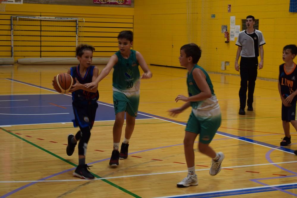Hasta cuatro equipos de la cantera optan al Campeonato de Andalucía