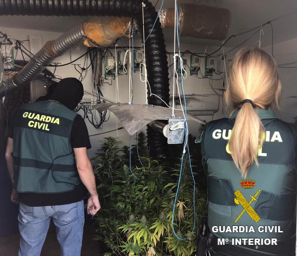 La Guardia Civil localiza una plantación Indoor de marihuana con 232 plantas y neutraliza 6 enganches ilegales a la red eléctrica