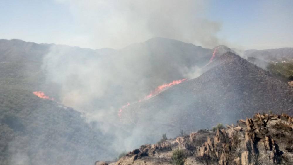 Dificultades en la extinción de un incendio forestal declarado en el término municipal de Berja por el fuerte viento