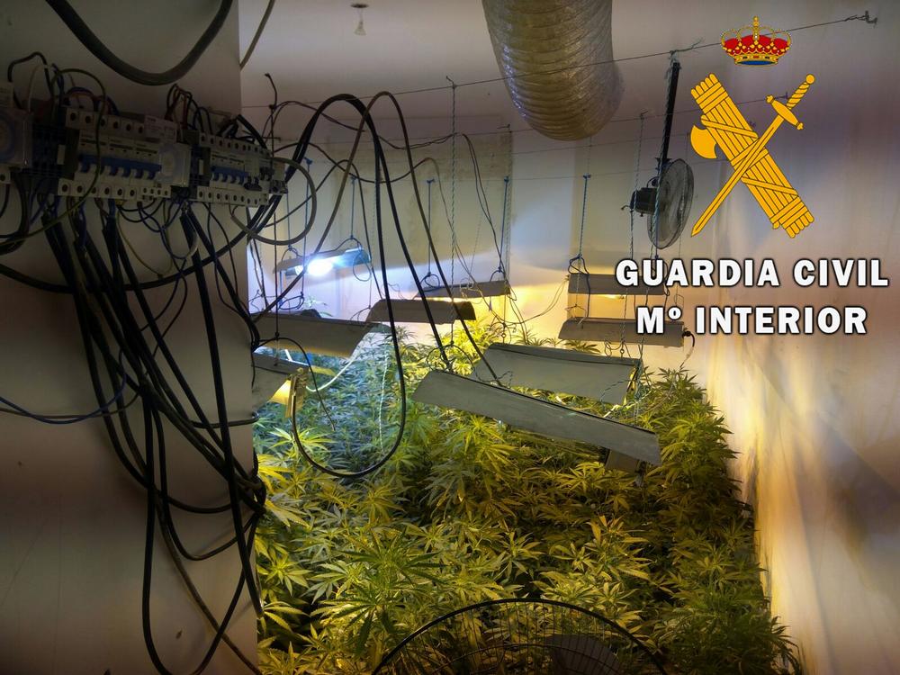La Guardia Civil localiza una plantación Indoor de marihuana con 91 plantas a pleno rendimiento en el centro del municipio de Roquetas de Mar