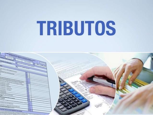 La Junta aplaza el pago de tributos propios ante la alerta sanitaria del coronavirus