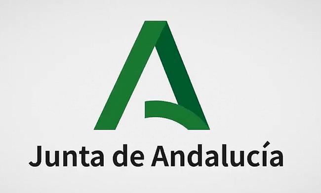 Suben más de un 500% las conexiones VPN  de los empleados de la Junta por el Covid-19