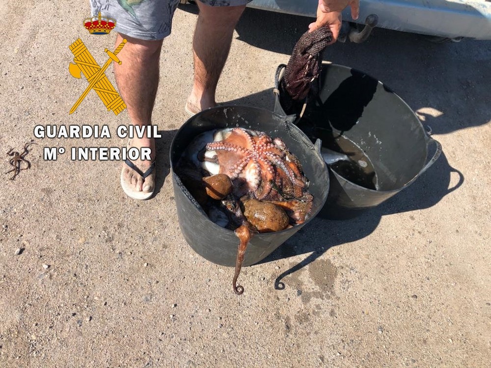 La Guardia Civil interviene 30 kilos de pulpo a dos buceadores en Roquetas de Mar