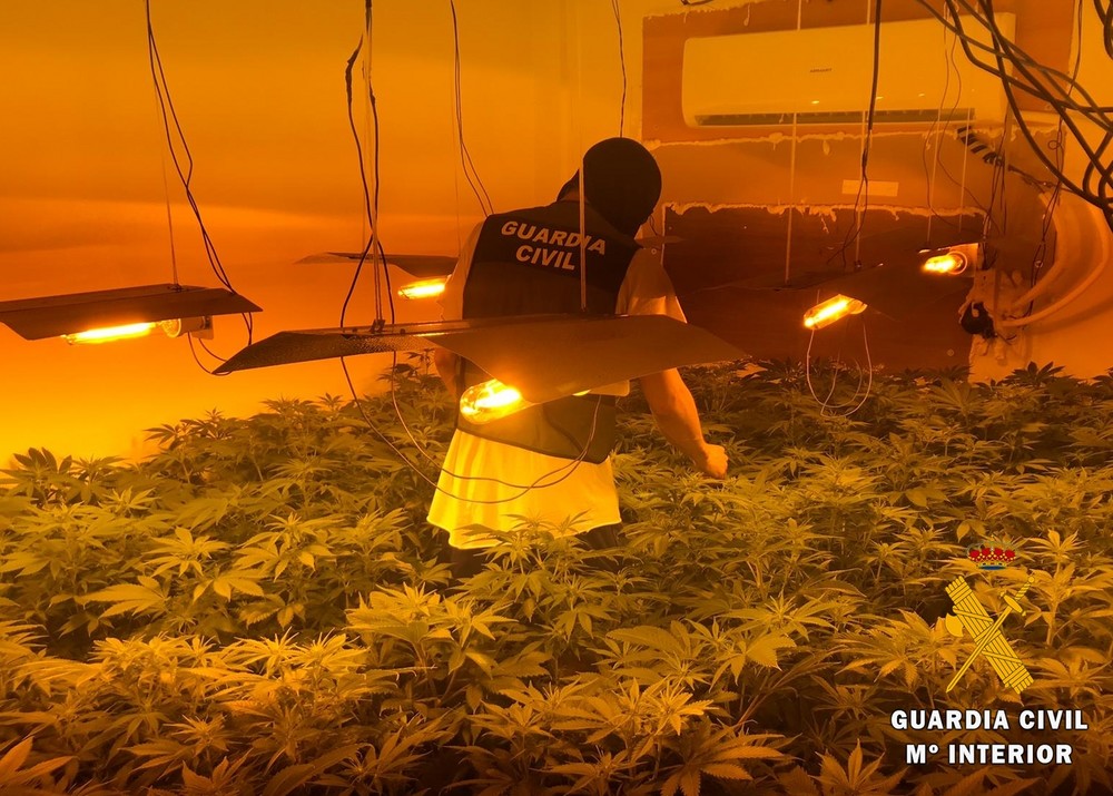 La Guardia Civil desmantela un bloque de viviendas con una plantación indoor de más de 3.000 plantas de marihuana