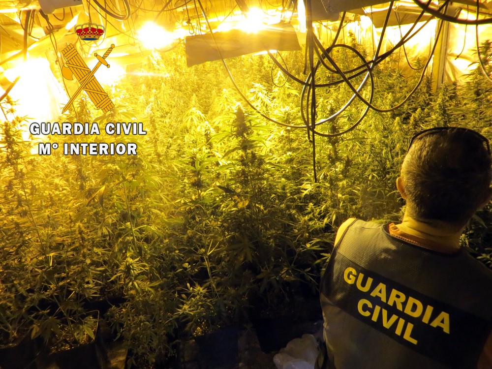 La Guardia Civil localiza una plantación indoor de marihuana con 400 plantas en un cortijo con difícil acceso en Berja