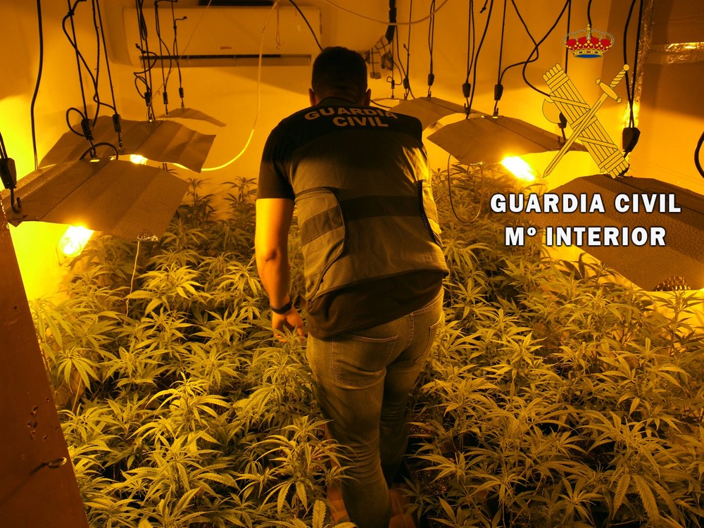 La Guardia Civil detiene a dos personas como autores de un delito contra la salud pública por cultivo indoor de marihuana en Adra