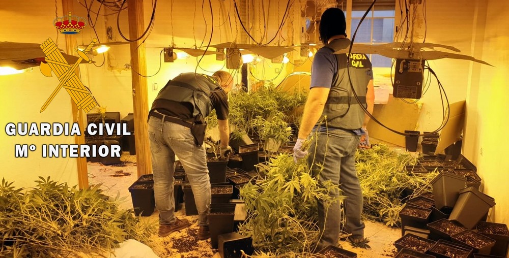 La Guardia Civil detiene a una persona como autor de un delito Contra la Salud Pública por un cultivo indoor de marihuana en Roquetas de Mar