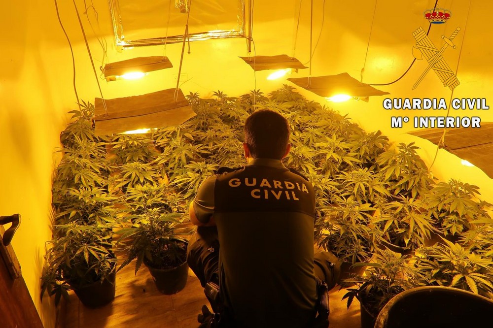 La Guardia Civil interviene una plantación indoor de marihuana en Roquetas de Mar