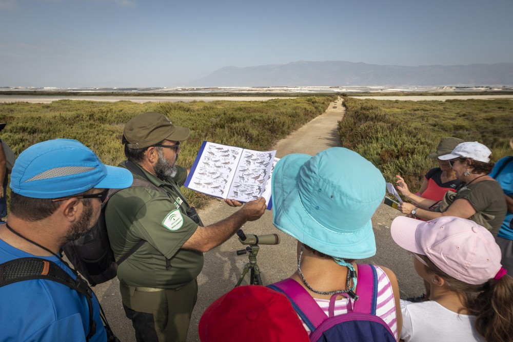 La Junta celebra el Día de las Aves con una visita ornitológica a Punta Entinas Sabinar