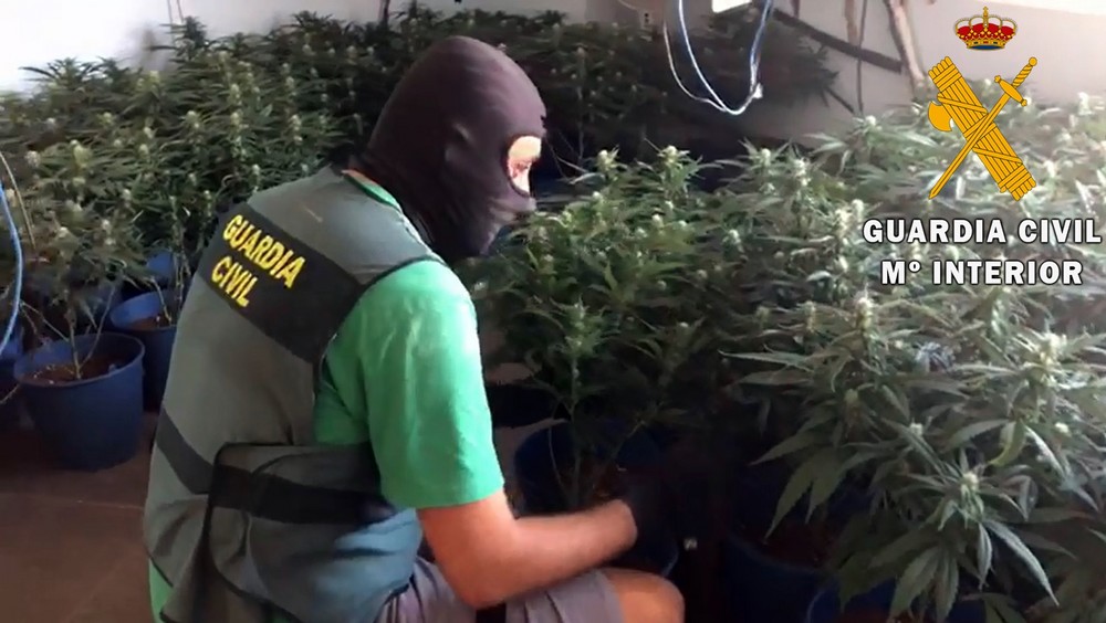 La Guardia Civil de Almería desmantela un cultivo indoor de marihuana en Roquetas de Mar
