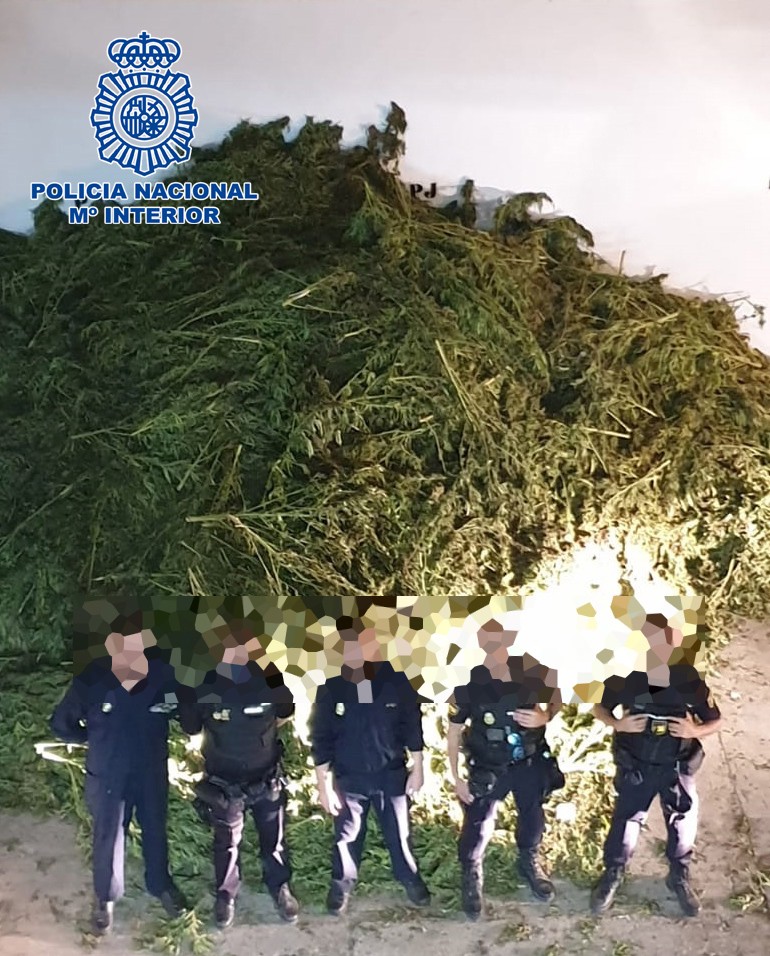 La Policía Nacional detiene a dos personas y se incauta de 10.170 plantas de marihuana en un polígono de El Ejido