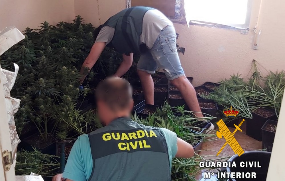 La Guardia Civil interviene un cultivo de marihuana durante la extinción de un incendio en una vivienda de Roquetas de Mar