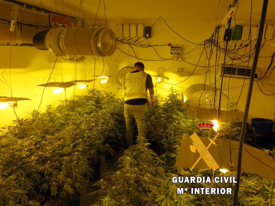 La Guardia Civil detiene a dos personas e interviene una plantación indoor con más de 60 plantas de marihuana en Roquetas de Mar