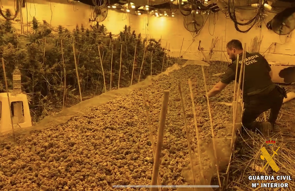 Roquetas de Mar lidera las incautaciones de marihuana por parte de la Guardia Civil en 2020