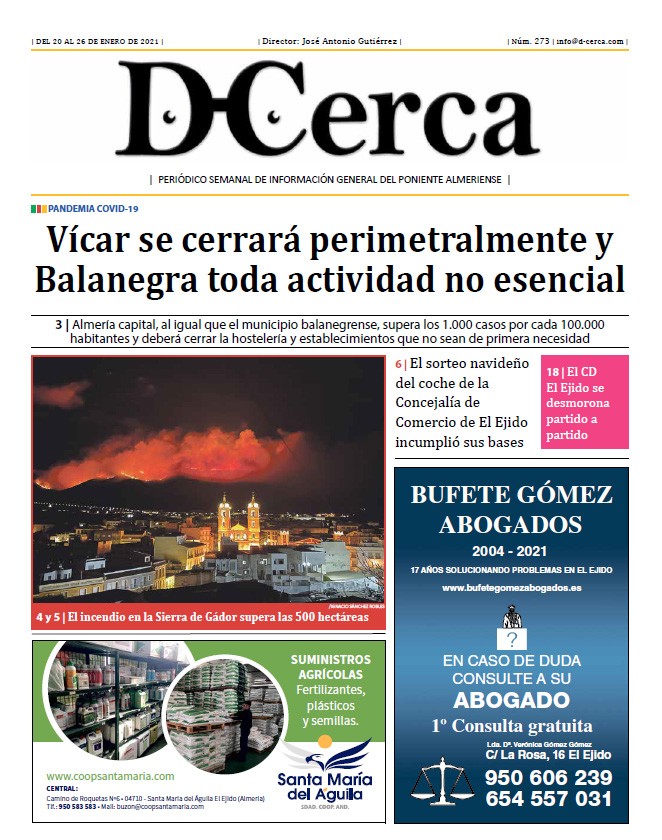 Nº 273 - Enero 2021