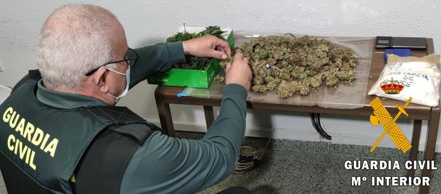 La Guardia Civil detiene a dos personas en Vícar por una plantación ilegal de marihuana