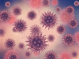 Los contagios en Almería por Covid-19 siguen bajando aunque las muertes y las hospitalizaciones continúan siendo altas
