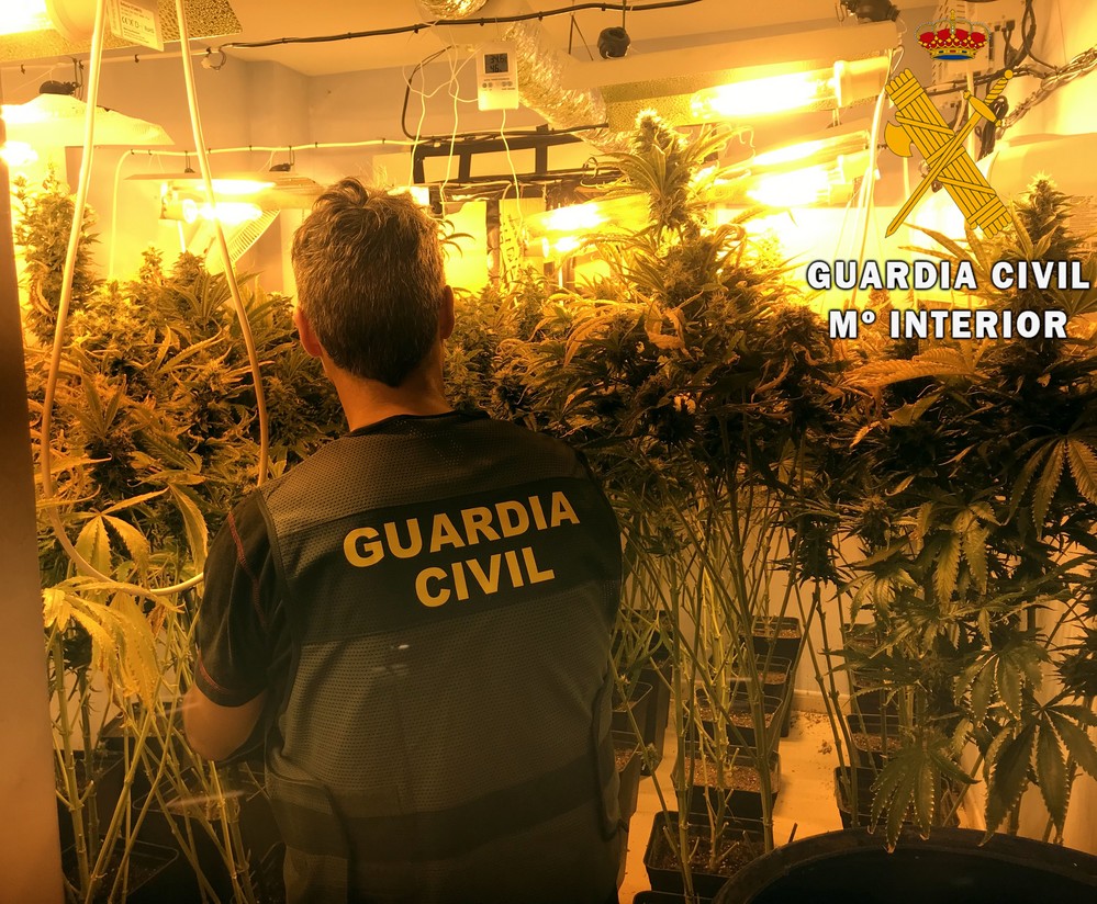 La Guardia Civil localiza una plantación de marihuana tras recibir el aviso del hallazgo de un cadáver en una vivienda de Roquetas de Mar