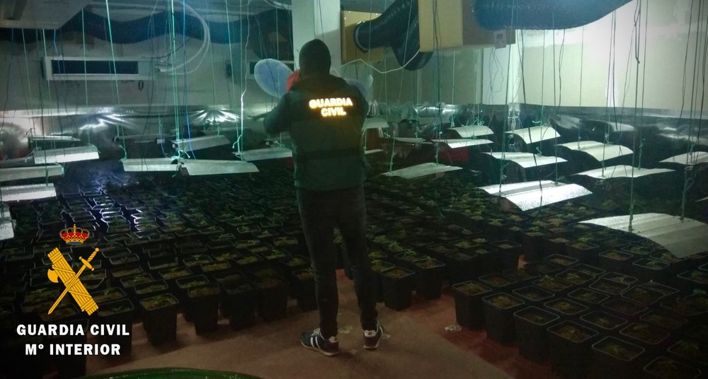 La Guardia Civil detiene a dos personas responsables de un cultivo indoor de 963 plantas marihuana en Roquetas de Mar