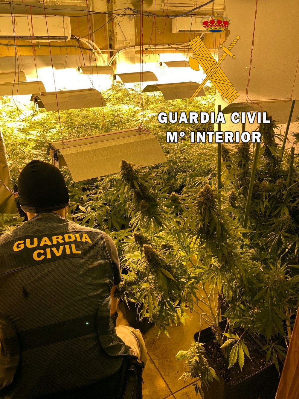 La Guardia Civil detiene a tres personas por una plantación indoor en Roquetas de Mar