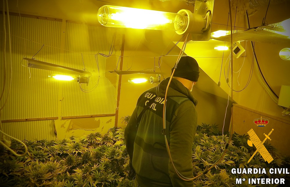 La Guardia Civil detiene a tres personas e investiga a otra por cultivar marihuana en sus domicilios en Adra en presencia de sus hijos menores