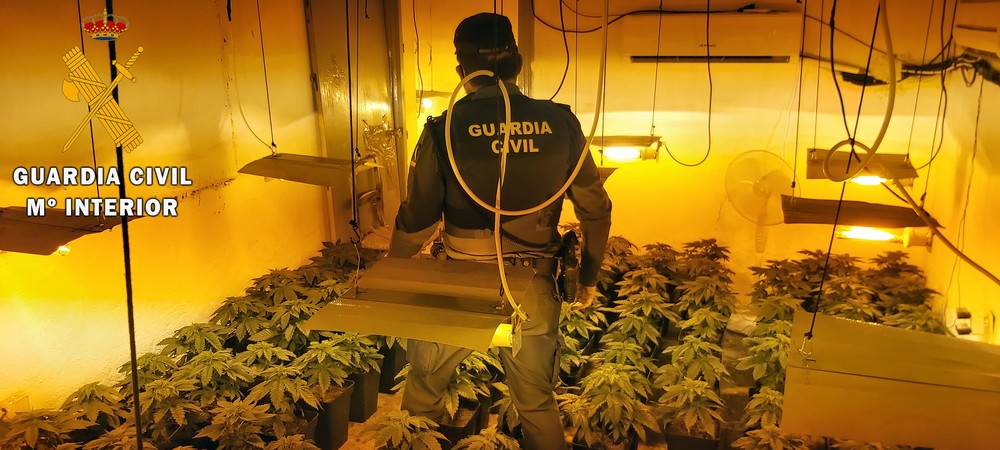 La Guardia Civil detiene a tres personas e incauta cerca 290 plantas de marihuana en una plantación 'indoor'