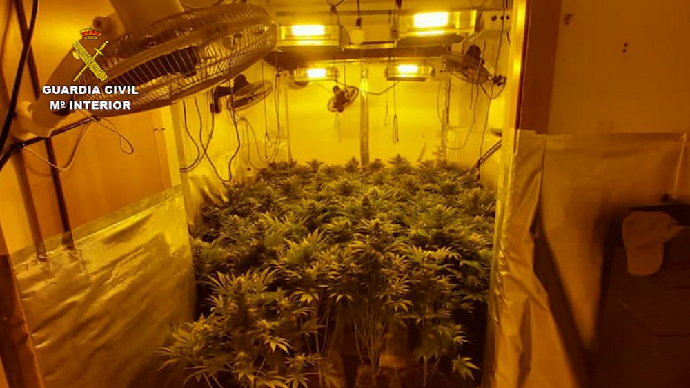 La Guardia Civil detiene a una persona e incauta más de 300 plantas de marihuana en una plantación indoor