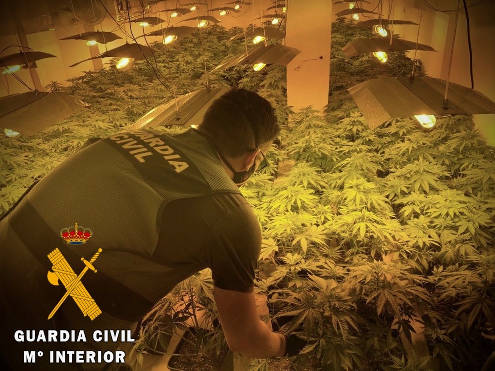 La Guardia Civil detiene en Roquetas de Mar a una persona que utilizaba una vivienda alquilada para cultivar marihuana