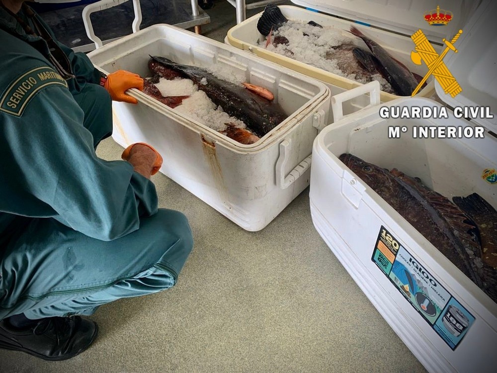 La Guardia Civil realiza dos actuaciones en materia de sanidad por infracciones a la normativa de pesca y distribución de alimentos sin control sanitario