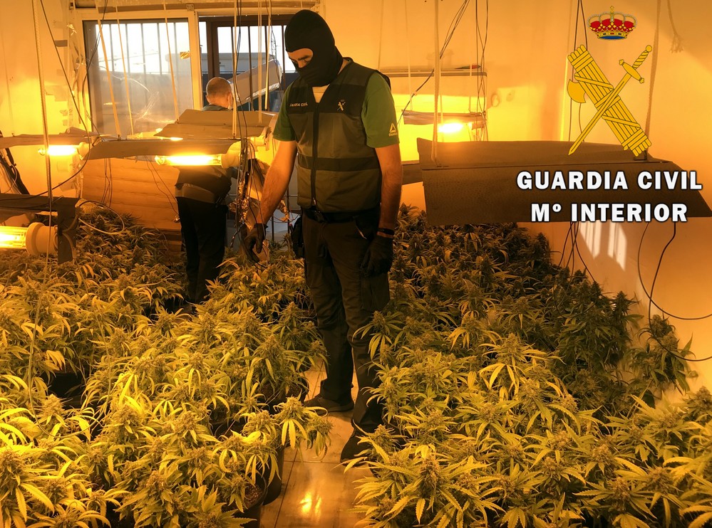 La Guardia Civil interviene una plantación indoor de marihuana en Roquetas de Mar