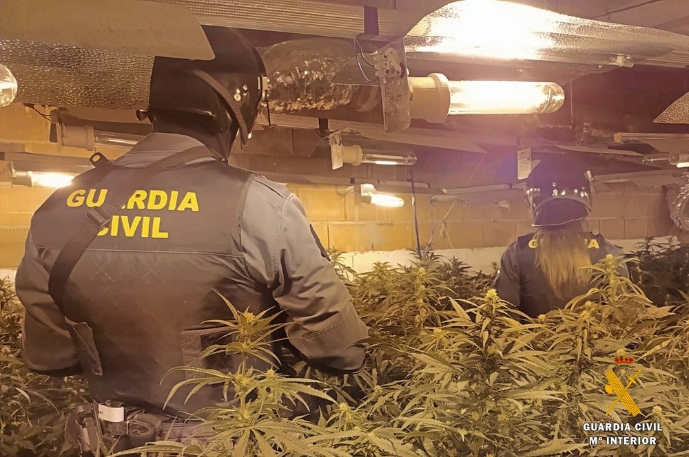 Seis detenidos y siete investigados por la Guardia Civil en una macrooperación contra el cultivo de marihuana en El Pozo de la Tía Manolica