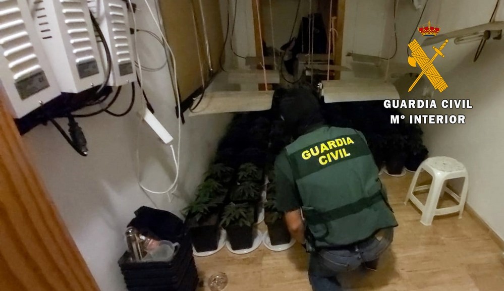 La Guardia Civil interviene 88 plantas de marihuana y otras sustancias estupefacientes en una vivienda en la que habitan dos menores de edad