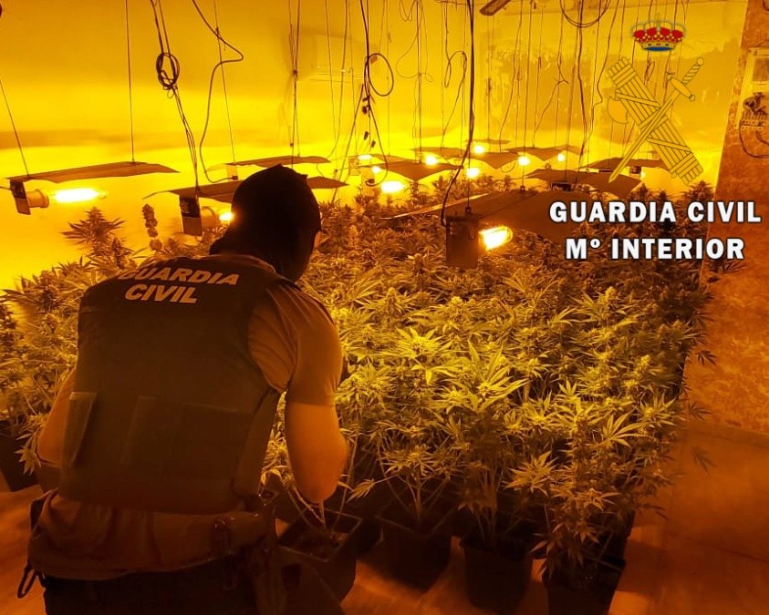 La Guardia Civil localiza en Roquetas una plantación indoor con 548 plantas de marihuana y neutraliza 29 enganches ilegales