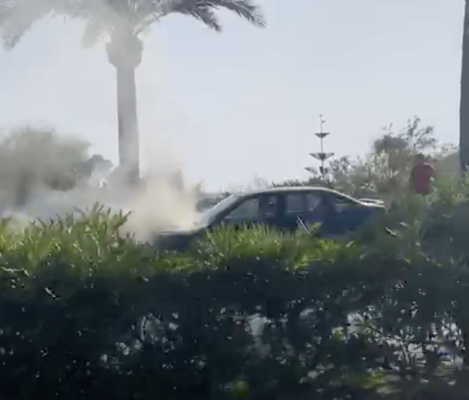 Vehículo arde en Almerimar esta tarde