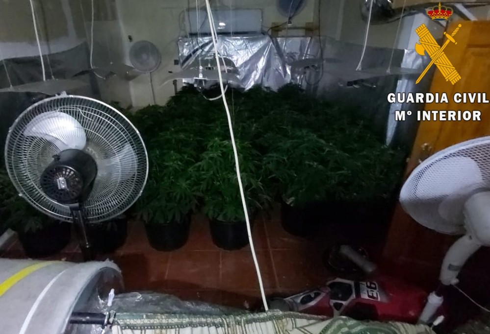 La Guardia Civil detiene a una persona por cultivar marihuana en el sótano de su vivienda en Roquetas de Mar